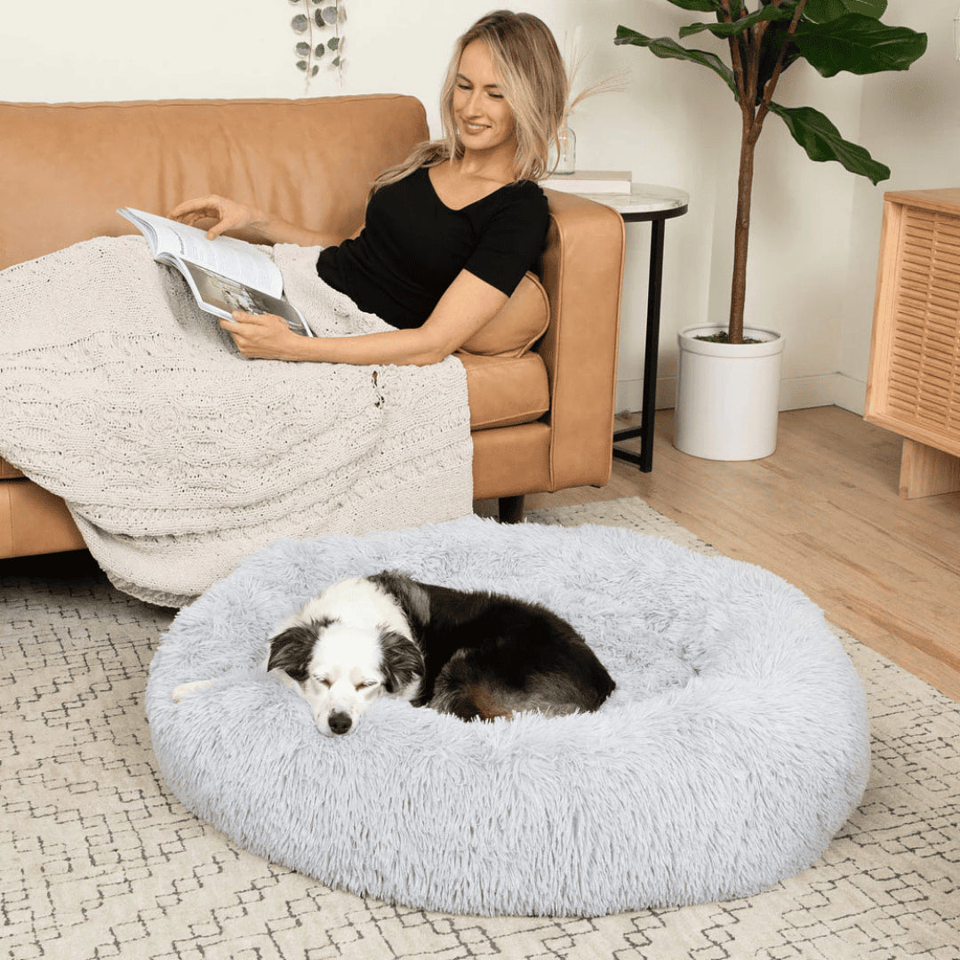 NidoLove®– El abrazo más cálido para tu mascota 🐾