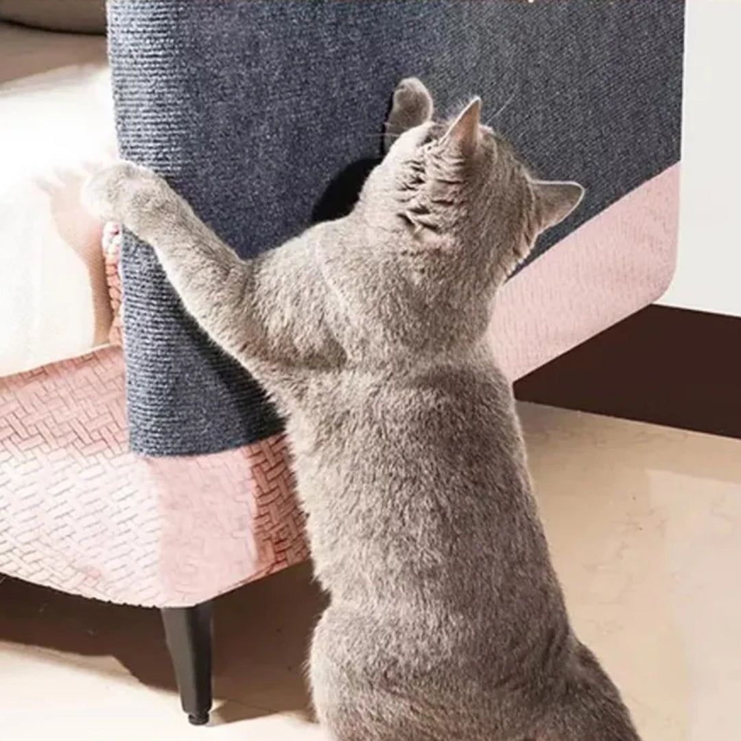 AntiGarras® |Tus muebles intactos, tu gato feliz.