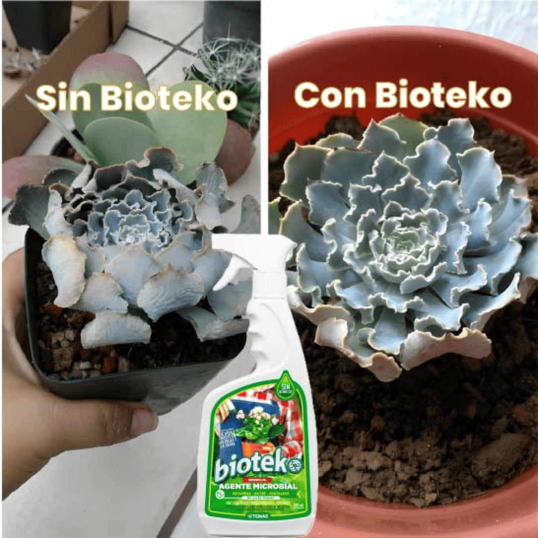 Biotek| Impulsor Orgánico Para Plantas 500ml