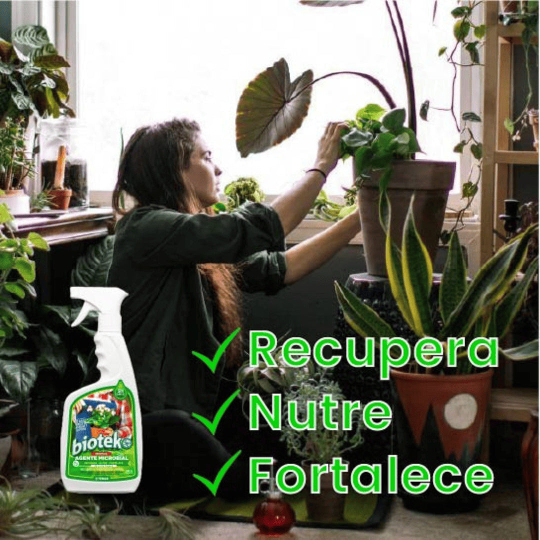 Biotek| Impulsor Orgánico Para Plantas 500ml