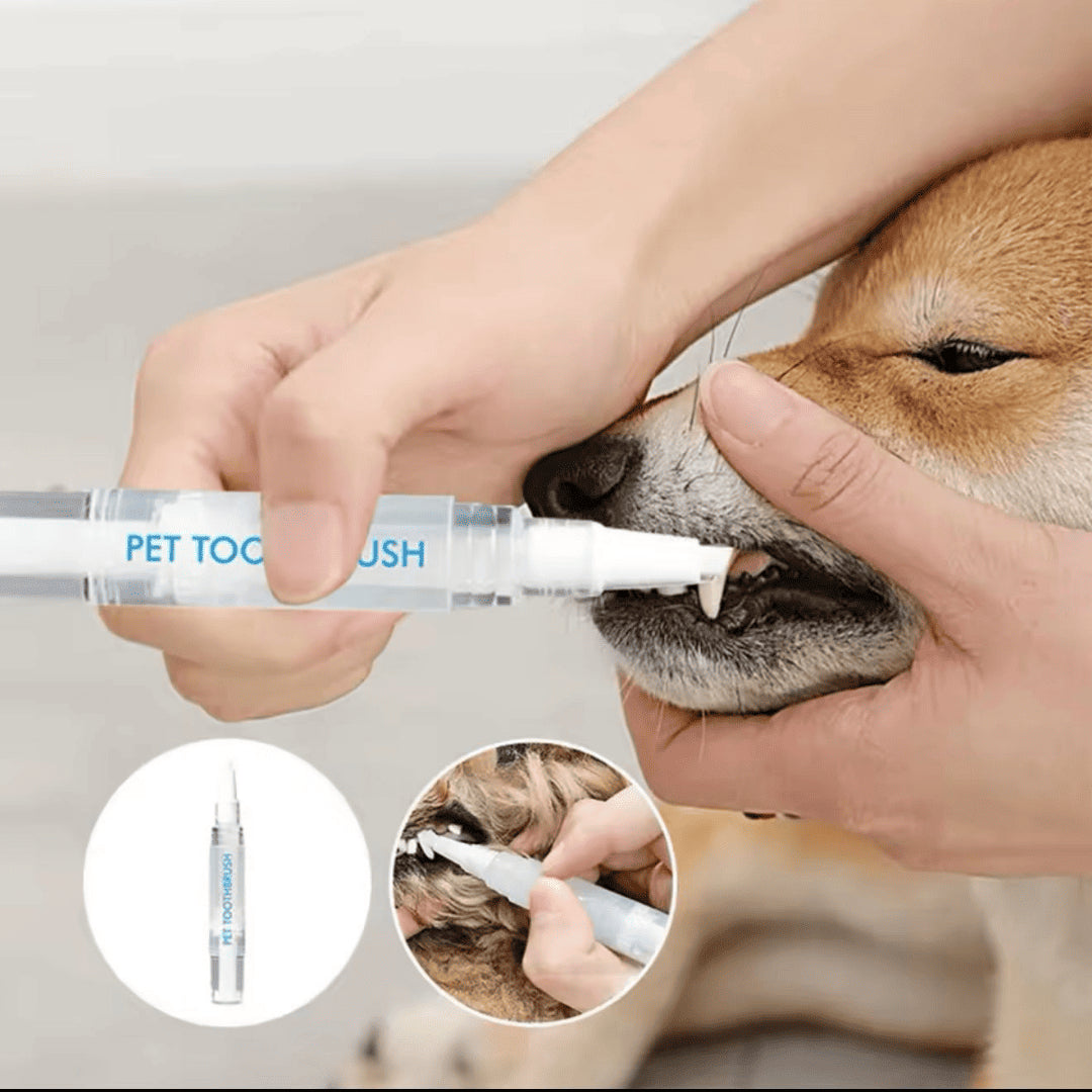 PetBrush| Salud Bucal para tu mascota