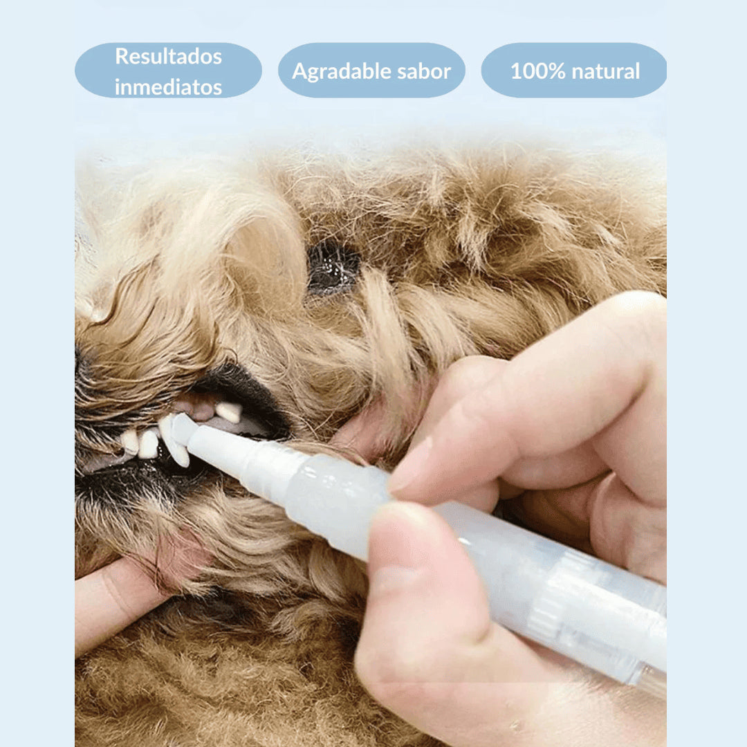 PetBrush| Salud Bucal para tu mascota