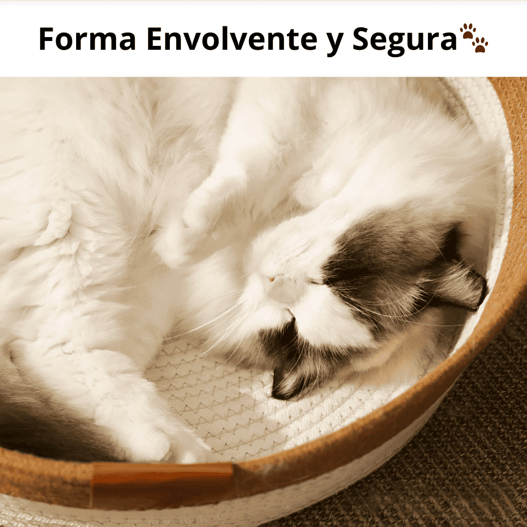 NidoCat®| Donde tu gato sueña, juega y rasca feliz.