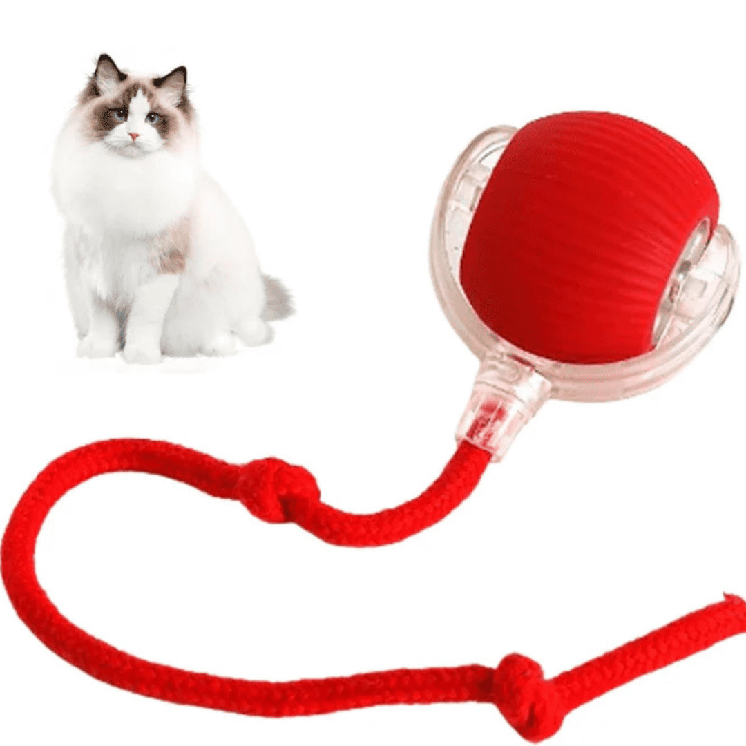 PetBall Smart®| Diversión para tu peludo.