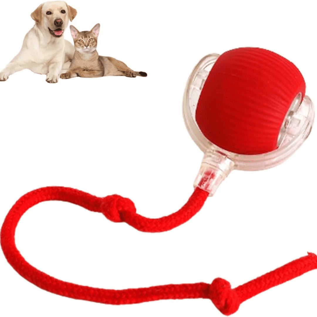 PetBall Smart®| Diversión para tu peludo.