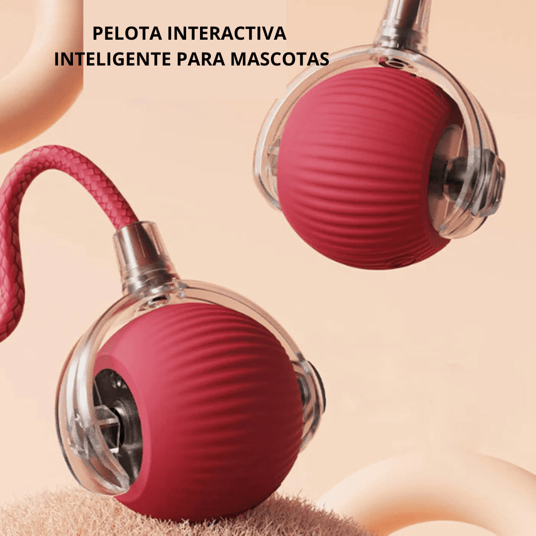 PetBall Smart®| Diversión para tu peludo.