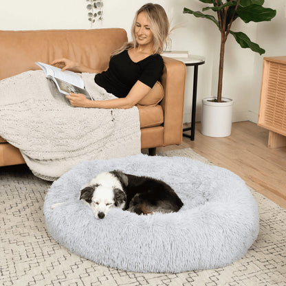 NidoLove®– El abrazo más cálido para tu mascota 🐾