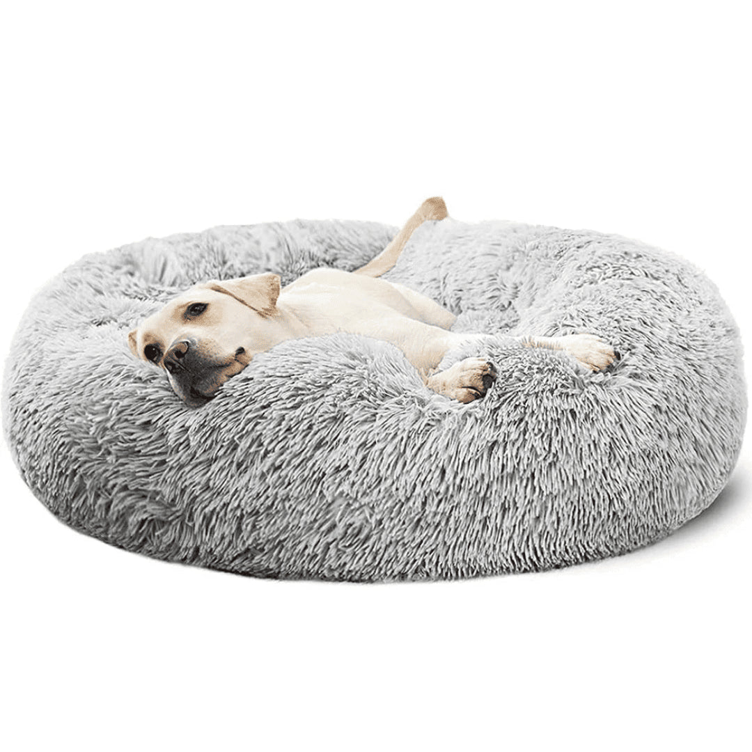 NidoLove®– El abrazo más cálido para tu mascota 🐾
