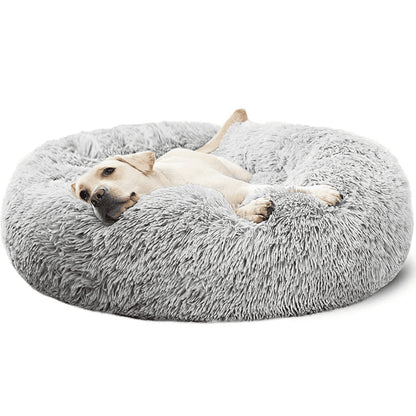 NidoLove®– El abrazo más cálido para tu mascota 🐾