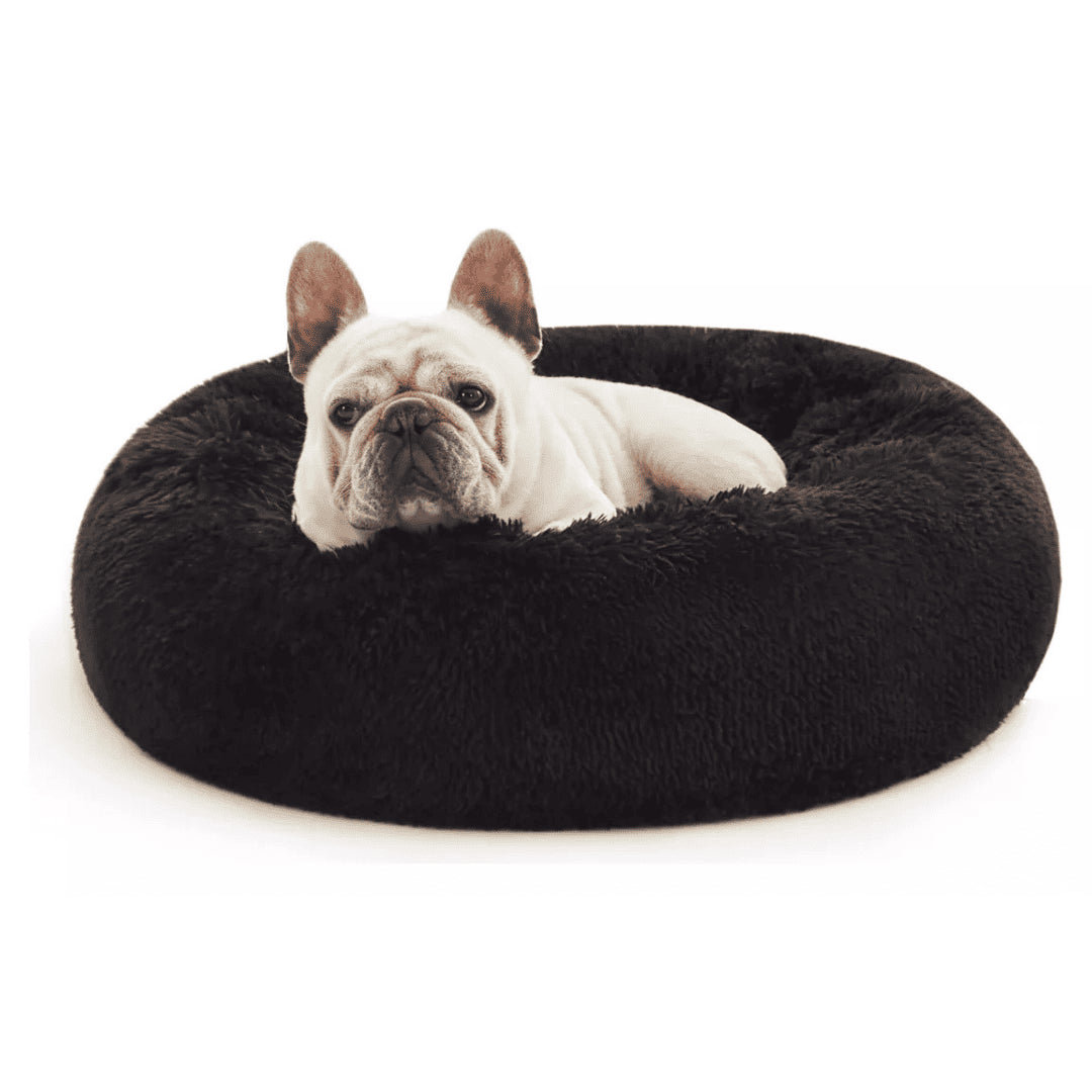 NidoLove®– El abrazo más cálido para tu mascota 🐾