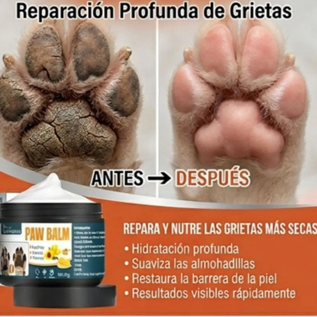 Encabezado