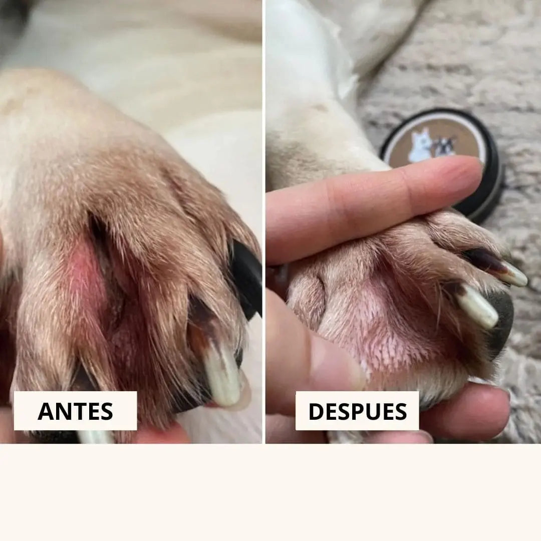 Pet Balw®️| Bálsamo Reparador Orgánico para Mascotas