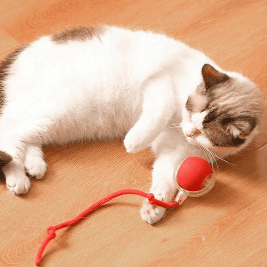 PetBall Smart®| Diversión para tu peludo.