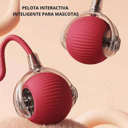 PetBall Smart®| Diversión para tu peludo.